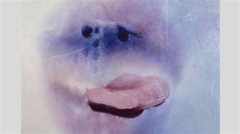 photos matures sexy|Sex positivity after 70: Marilyn Minter’s sensual photographs of ...